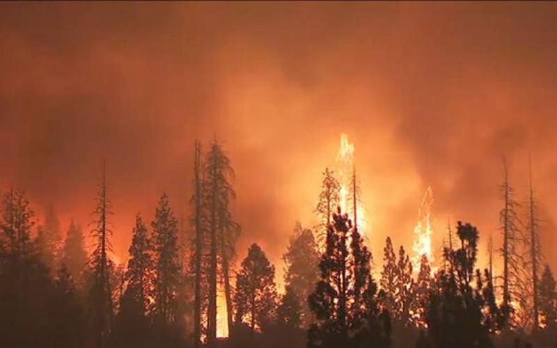 ویران شدن 90 خانه در آتش سوزی کالیفرنیا