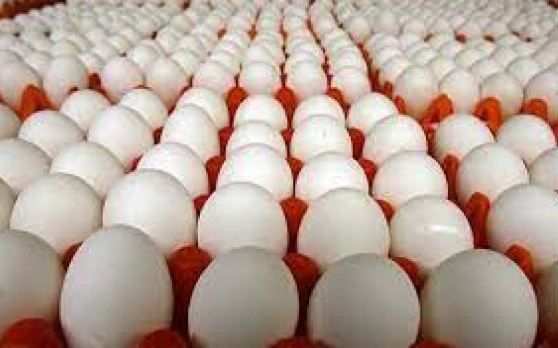تخم‌مرغ ترکیه از ایران به افغانستان صادر می‌شود