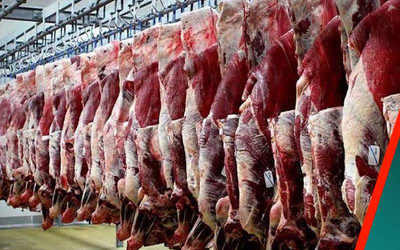 حرکت خاکستری دلالان در بازار گوشت