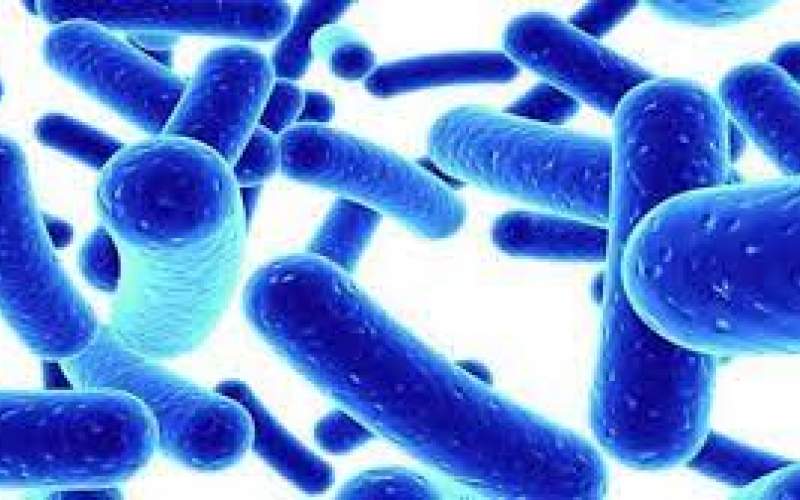 ابتلای قطعی ۶۵ نفر به بیماری وبا در ایران