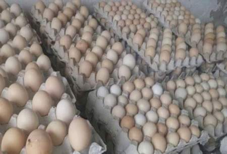 عوامل مؤثر در افزایش قیمت تخم‌مرغ‌