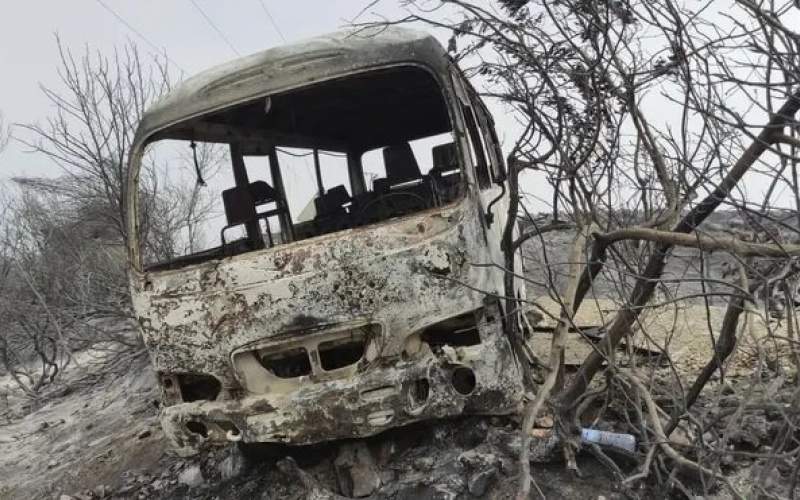 آتش سوزی جنگلی در شمال الجزایر قربانی گرفت