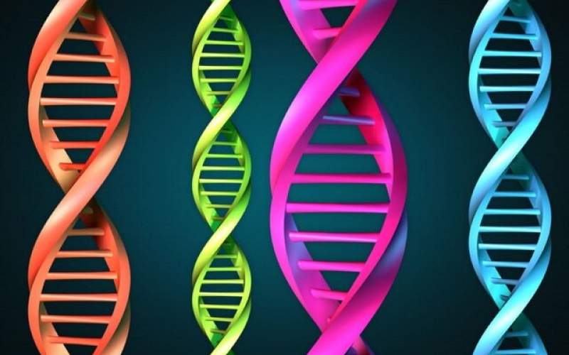 ۶۰ ژن جدید مرتبط با اوتیسم کشف شد