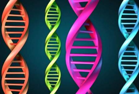 ۶۰ ژن جدید مرتبط با اوتیسم کشف شد