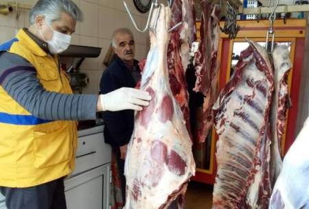 دامپزشکی فروش گوشت اسب و الاغ را تائید کرد