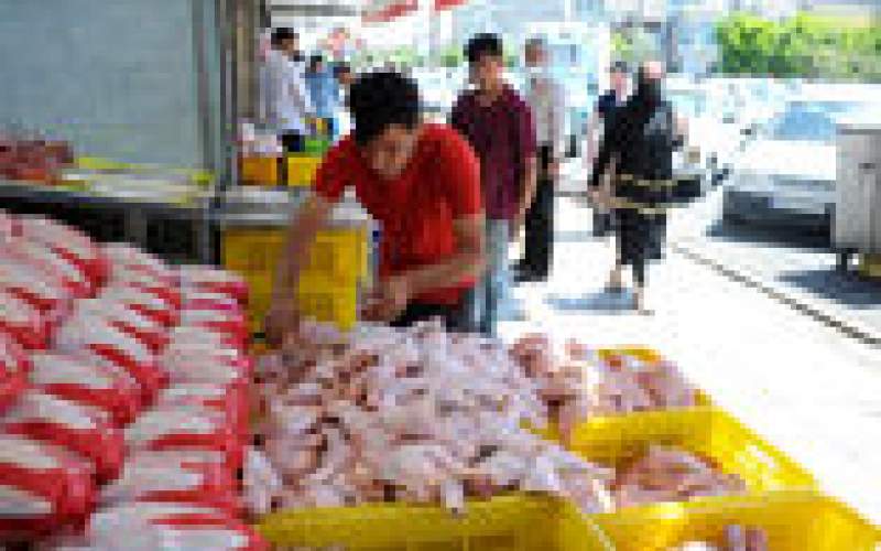 قیمت عجیب هر کیلو فیله مرغ در بازار