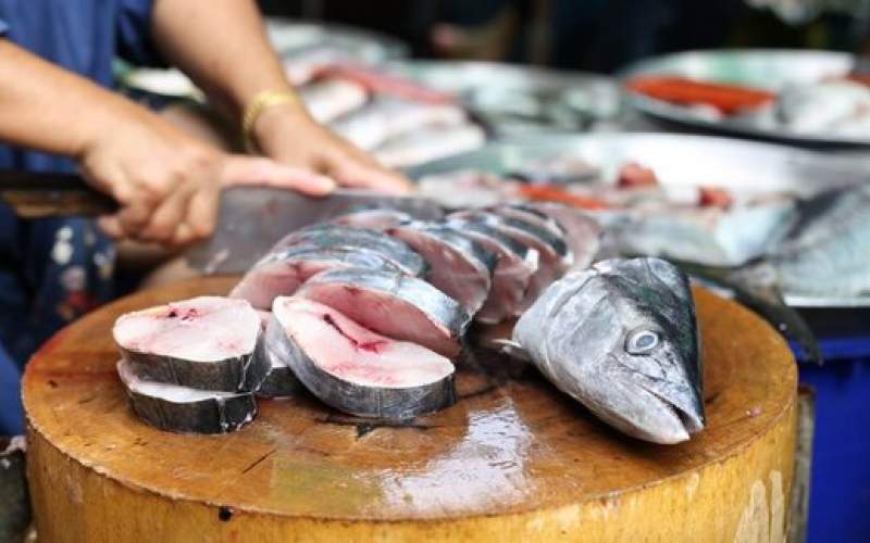 آخرین قیمت انواع ماهی در بازار/جدول