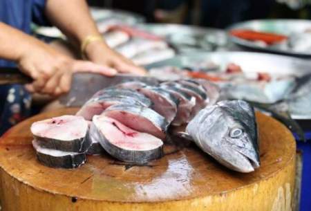 آخرین قیمت انواع ماهی در بازار/جدول