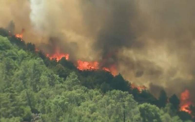 آتش سوزی در جنگل‌های کلاردشت