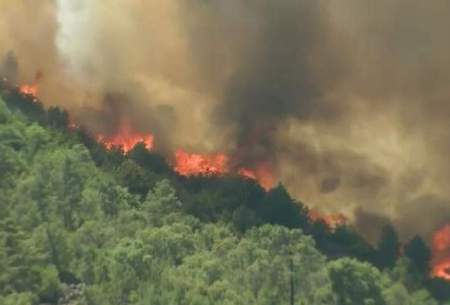 آتش سوزی در جنگل‌های کلاردشت