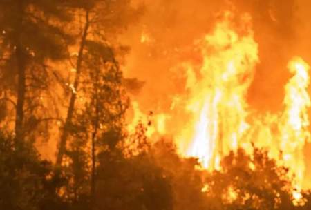 آتش‌سوزی در جنگل‌های قزاقستان/فیلم