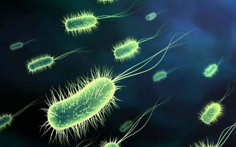 ابتلای قطعی ۷۳ نفر به بیماری وبا در ایران