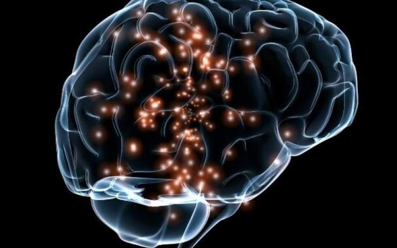 مصرف استروئیدها بر ساختار مغز تاثیر می گذارد