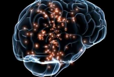مصرف استروئیدها بر ساختار مغز تاثیر می گذارد