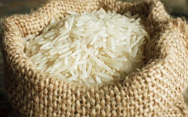 صادرات برنج از هند ممنوع شد