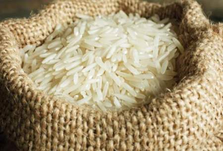 صادرات برنج از هند ممنوع شد