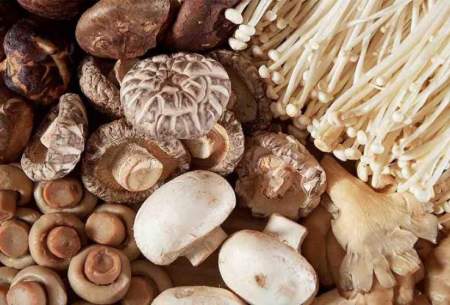 خطر مسمومیت با قارچهای سمی را جدی بگیریم