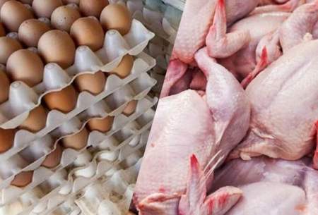 مرغ و تخم مرغ چقدر گران می‌شود؟