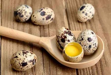 با فواید و ارزش غذایی تخم بلدرچین آشنا شوید