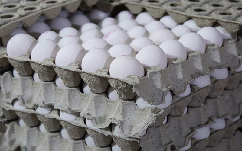 جدیدترین قیمت تخم مرغ در بازار /جدول
