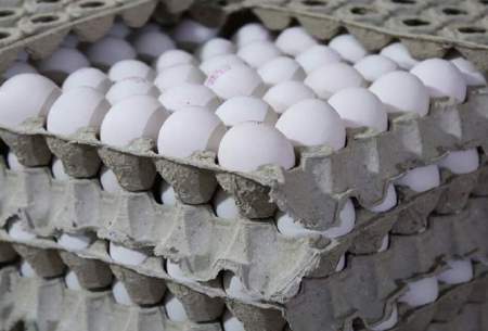 جدیدترین قیمت تخم مرغ در بازار /جدول