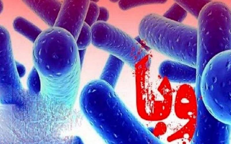 ابتلای ۳ نفر به بیماری وبا در چهارمحال و بختیاری