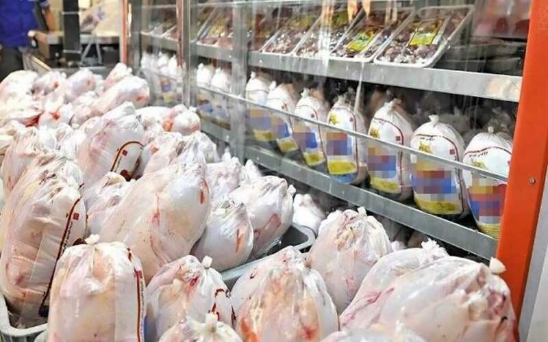 کاهش قیمت مرغ منجمد
