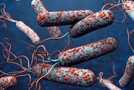 شناسایی ۳۴ بیمار مشکوک به وبا در خراسان رضوی