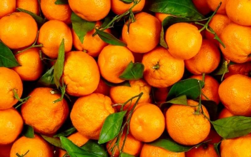 خواص باورنکردنی نارنگی برای ۱۰۰نوع بیماری