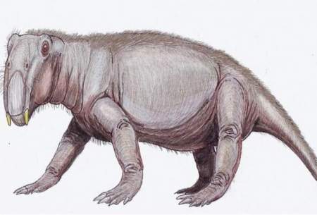 قیافه عجیب و ترسناک خوک دوران دایناسورها