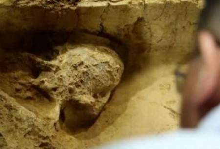 کشف جمجمه انسان یک میلیون ساله در چین