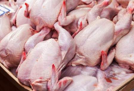گوشت مرغ و بوقلمون را پیش از پخت نشویید