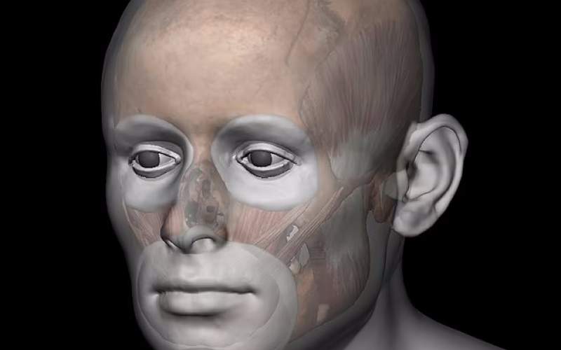 بازسازی سه‌بعدی چهره یک زن زیبای قرون وسطی