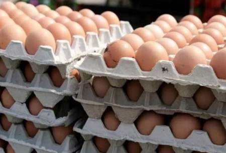 چرا دولت جلوی گرانی تخم مرغ را نمی‌گیرد؟