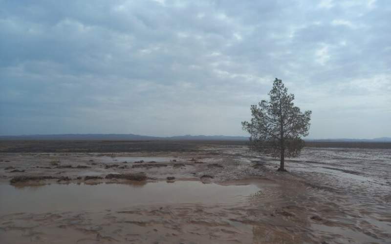 سیل در شمال نیجریه جان ۲۴ نفر را گرفت