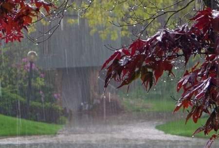تازه ترین پیش بینی بارش ها در سال جاری