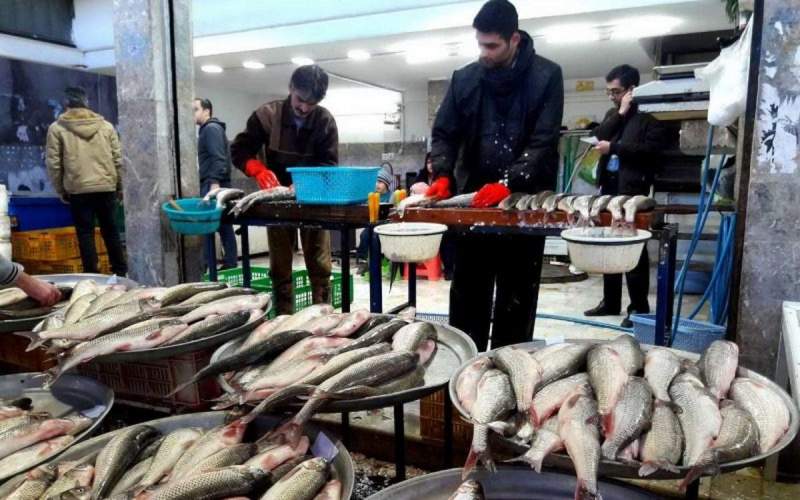 قیمت انواع ماهی در بازار تهران /جدول