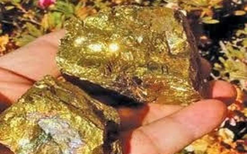 امارات تمام طلای صادراتی سودان را خرید
