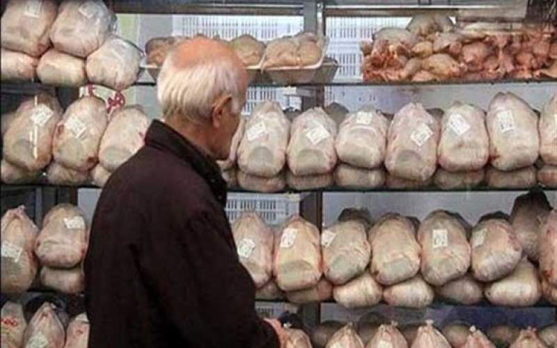 قیمت مرغ  باز هم افزایش می‌یابد؟
