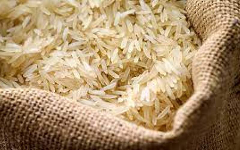 قیمت برنج افزایش می یابد