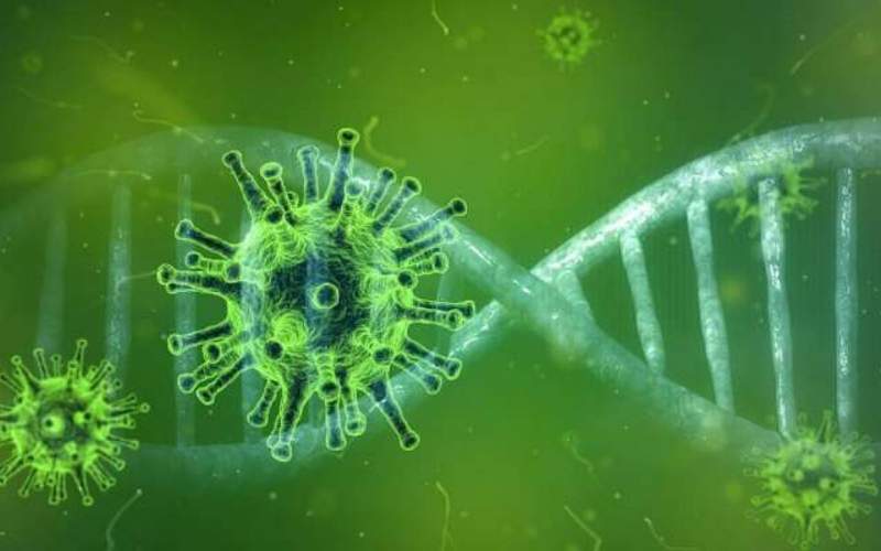 ژنی در بدن از شما در برابر ویروس کووید محافظت می‌کند