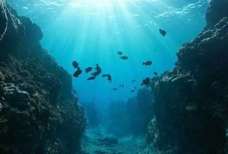 اثرات خنک سازی اقیانوس‌ها بر بلایای طبیعی