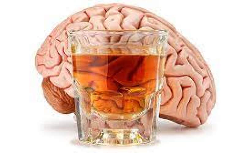 حتی مصرف اندک الکل نیز برای مغز مخرب است
