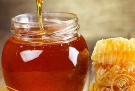 قیمت عسل کوهی اصل طبیعی نجم و تفاوت آن با سایر عسل ها
