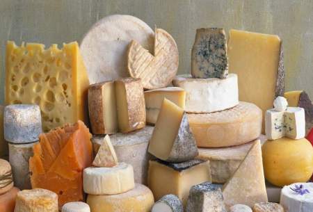 آیا پنیر برای شما مفید است؟