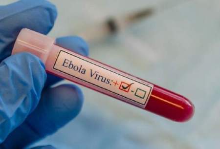 مثبت شدن تست ابولای ۳ تن در اوگاندا