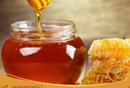 قیمت عسل چهل گیاه طبیعی نجم برای درمان بیماری های مزمن