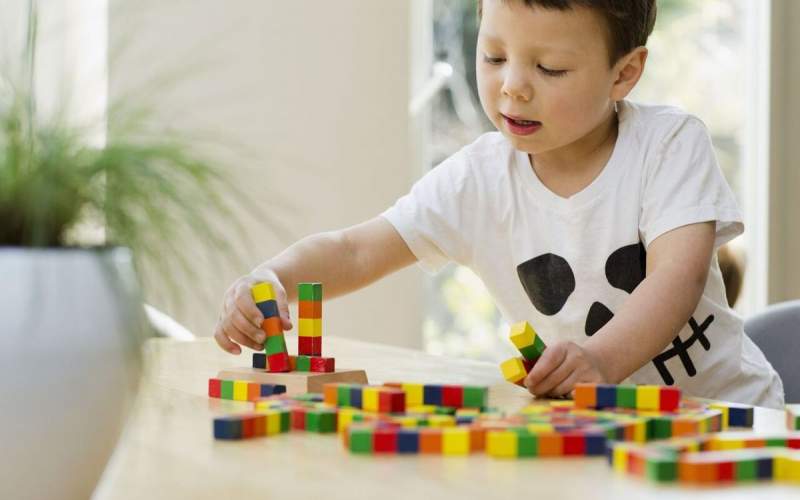 اختلال اوتیسم در فرزندان و مشکلات خانه‌نشینی