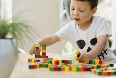 اختلال اوتیسم در فرزندان و مشکلات خانه‌نشینی