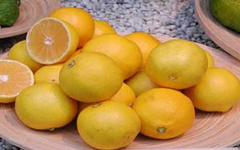 این روزها از لیمو شیرین غافل نشوید